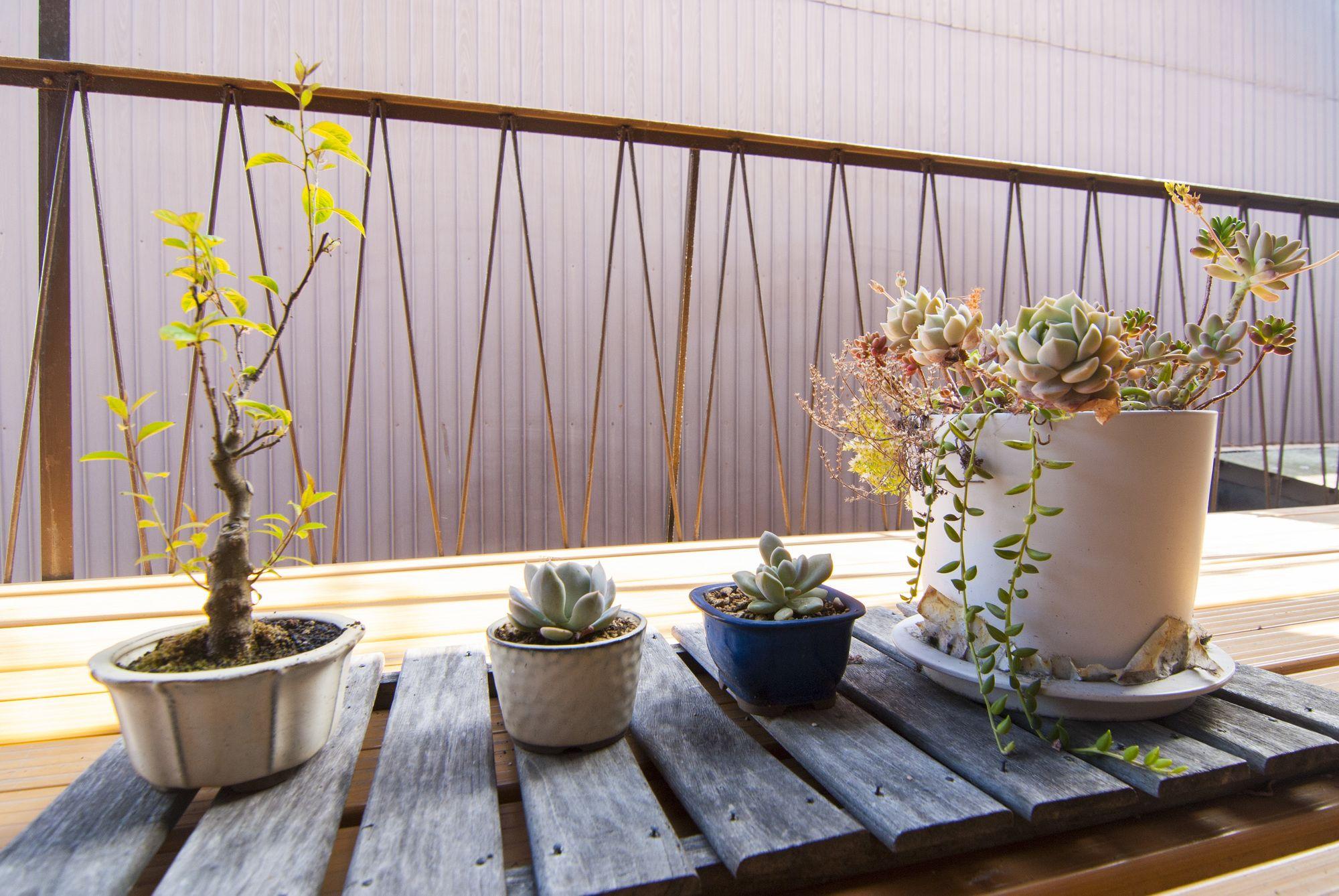 Kyo No Yado Bamboo Town Villa Kyoto Bagian luar foto